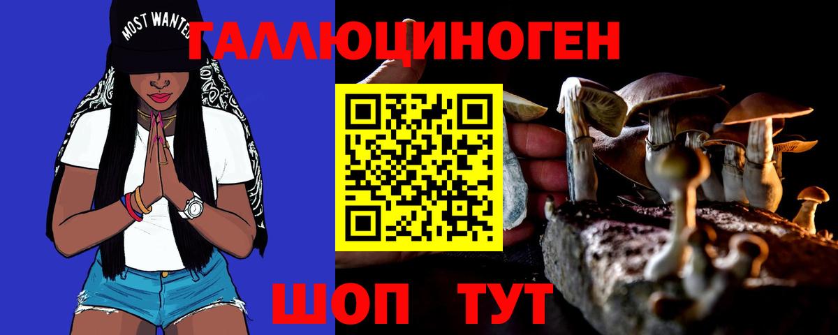 Новодвинск  Псилоцибиновые грибы Psilocybine cubensis  хочу   Вход с VPN  Псилоцибиновые грибы мухоморы 